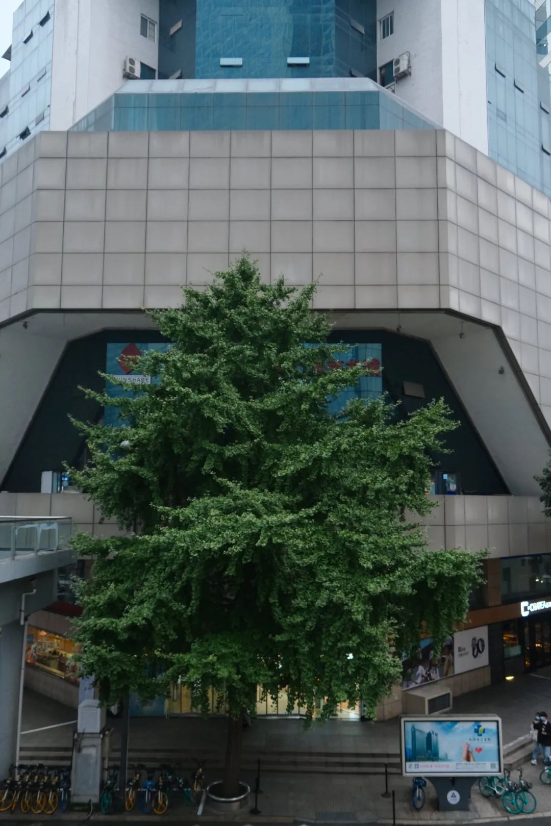 西南书城店,西南书城在哪里