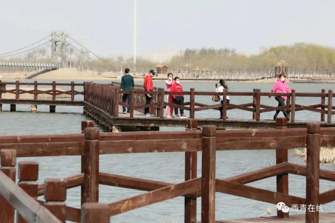 天津西青郊野公园开放最新通知,天津临港亲海公园什么时候开放