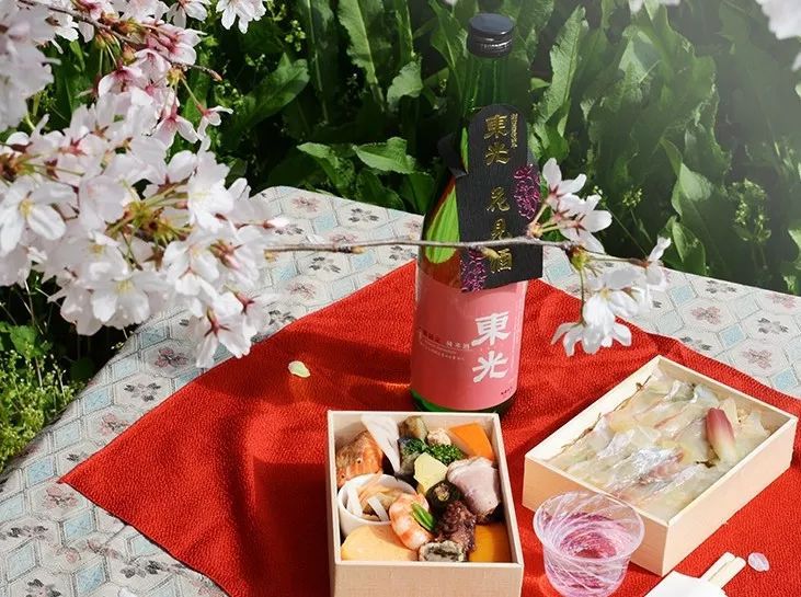 春天花会开敬酒歌,春天花会开一杯酒