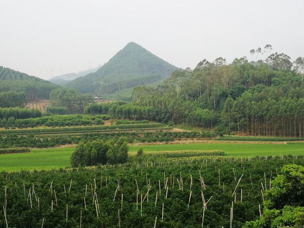 南宁隐藏的景点,南宁周边农家乐游玩景点推荐