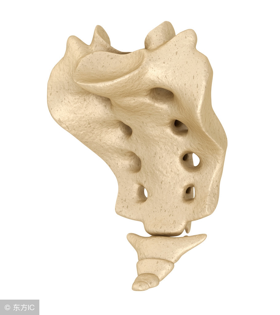 产后尾骨痛怎么办？这5个简单的动作，让疼痛消失、臀部上翘紧致