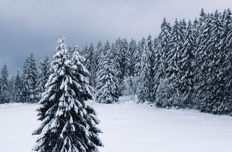 陶渊明诗中的经典名句,陶渊明的适合人生每个阶段的诗