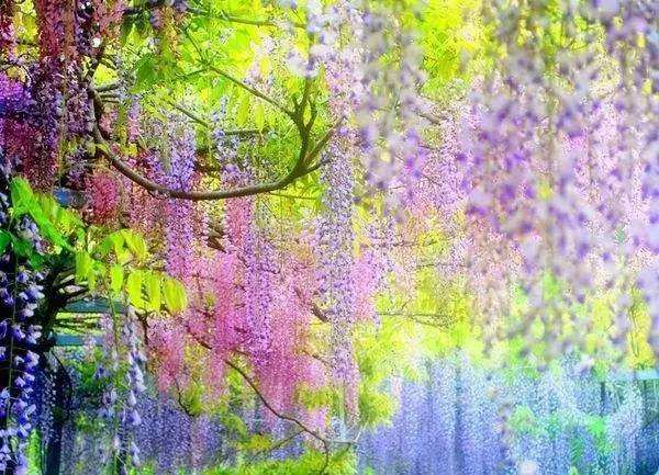 经典夏日诗,最经典的夏日诗