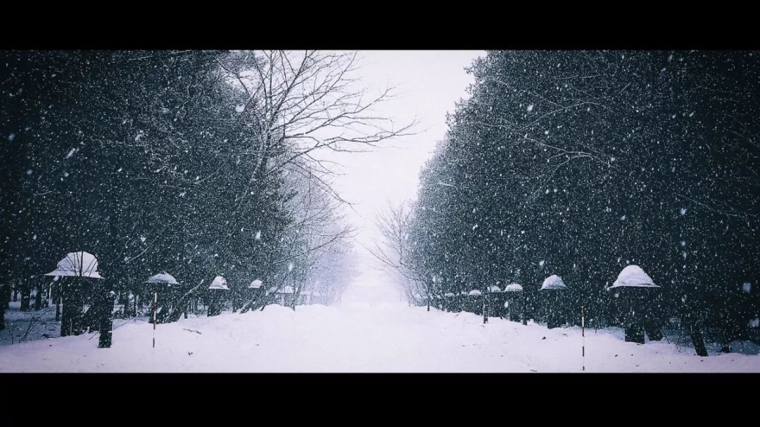 想要拍出好照片需不需要学会参数,相机不太好怎么拍好照片