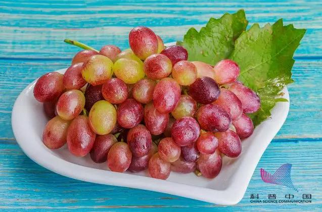 樱桃车厘子菠萝凤梨,车厘子水果和樱桃的区别