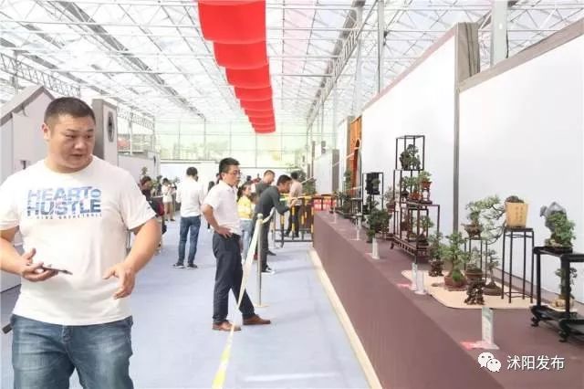 沭阳庆国庆节迎中秋,沭阳迎国庆节