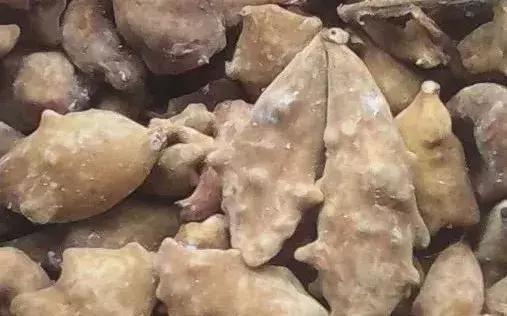 中草药防治鱼病效果好的有哪些,专治鱼病的中药配方