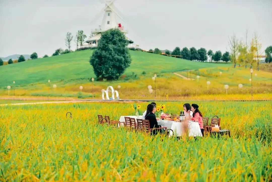 青白江十大健身地,青白江体育