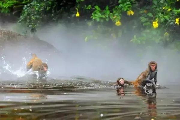带娃国外海岛旅游推荐,适合带娃休闲度假的国内海岛