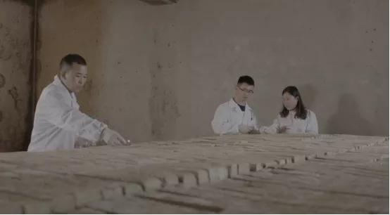 探索天道谷的秘密,探寻工厂奥秘