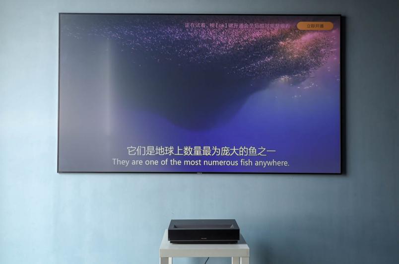 王思聪小米手机,王思聪手机小米