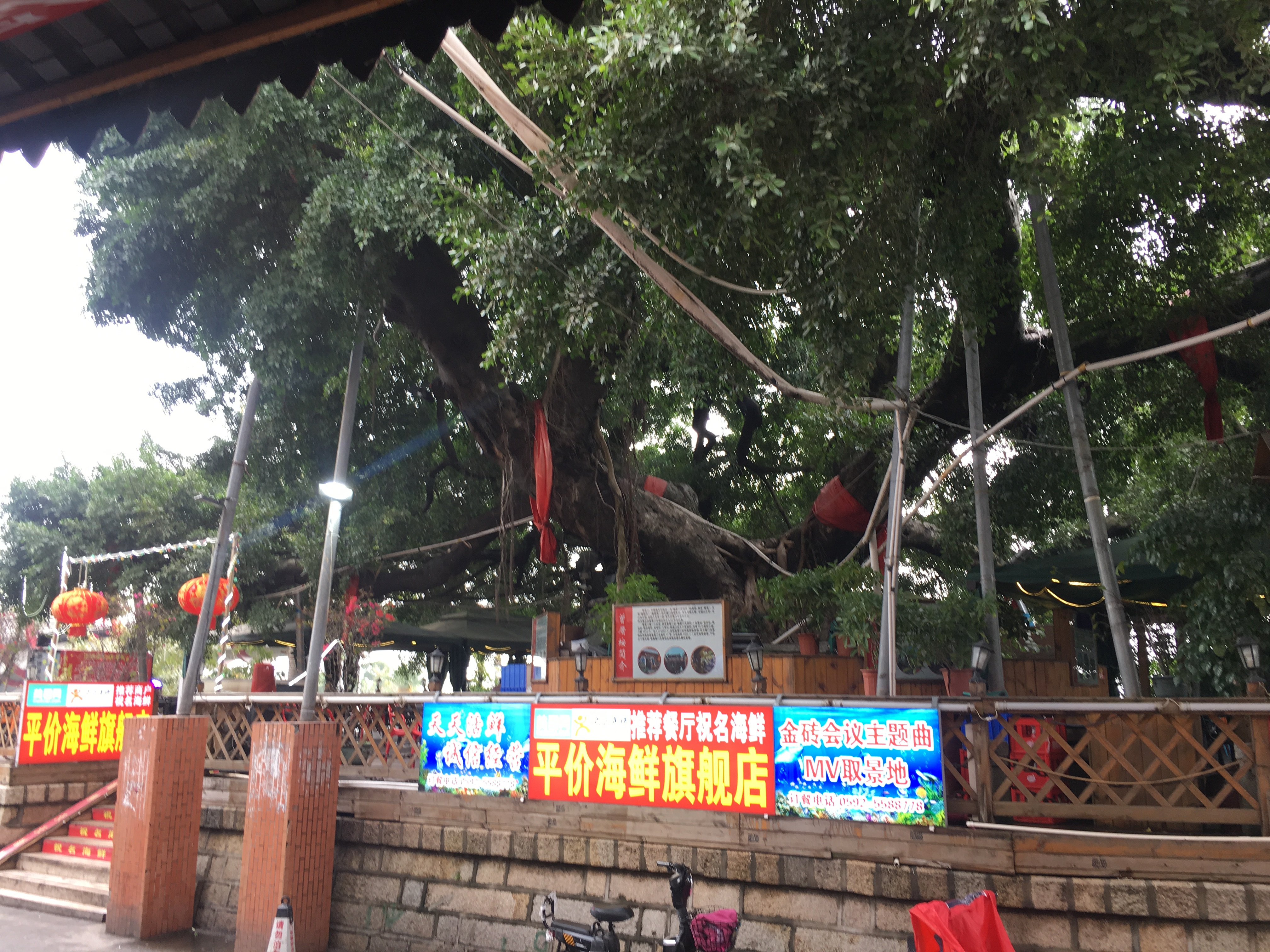 曾厝垵-这个名气仅次于厦门鼓浪屿的小渔村，可以这么玩