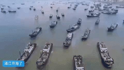 看饿了！南海开渔，佛山人去这些地方吃到high