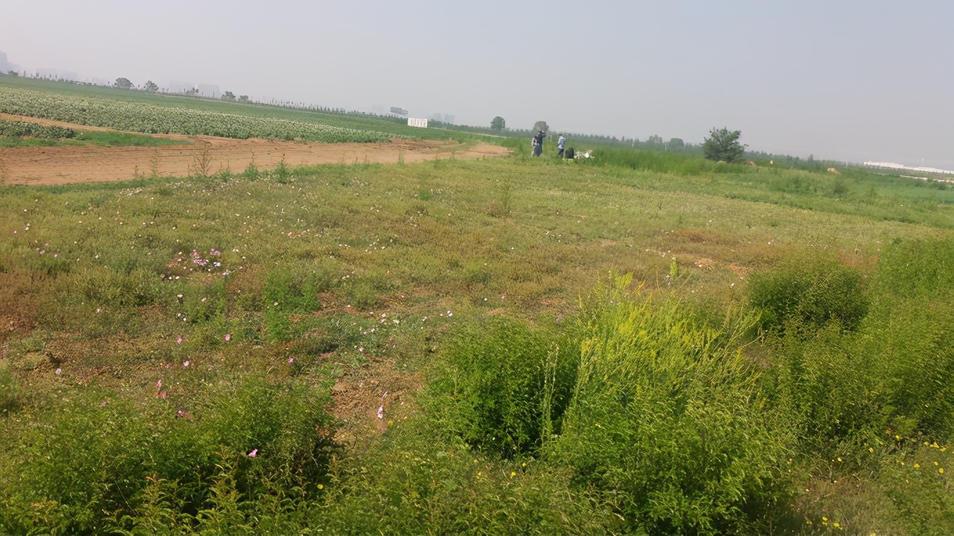 姚志刚养甲鱼,养甲鱼发家年赚一千万