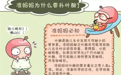 备孕多久前吃叶酸合适该注意什么,备孕期间吃叶酸什么时候吃最合适