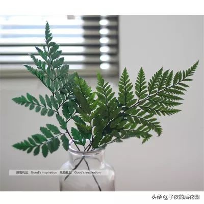 花店常用的配花配草有哪些方法,常见配花配草