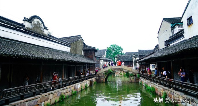 桐乡市民间文化艺术之乡,桐乡文化基地