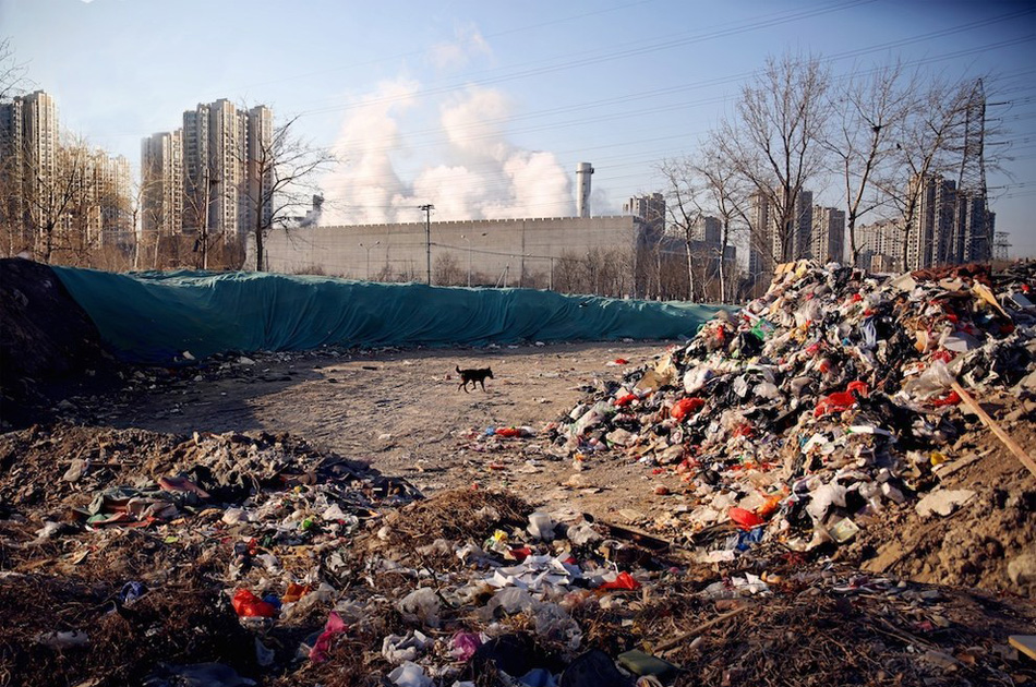 惊奇！千年汝阳杜康泉周边生长罕见的鸳鸯虾矿泉水有什么好处？