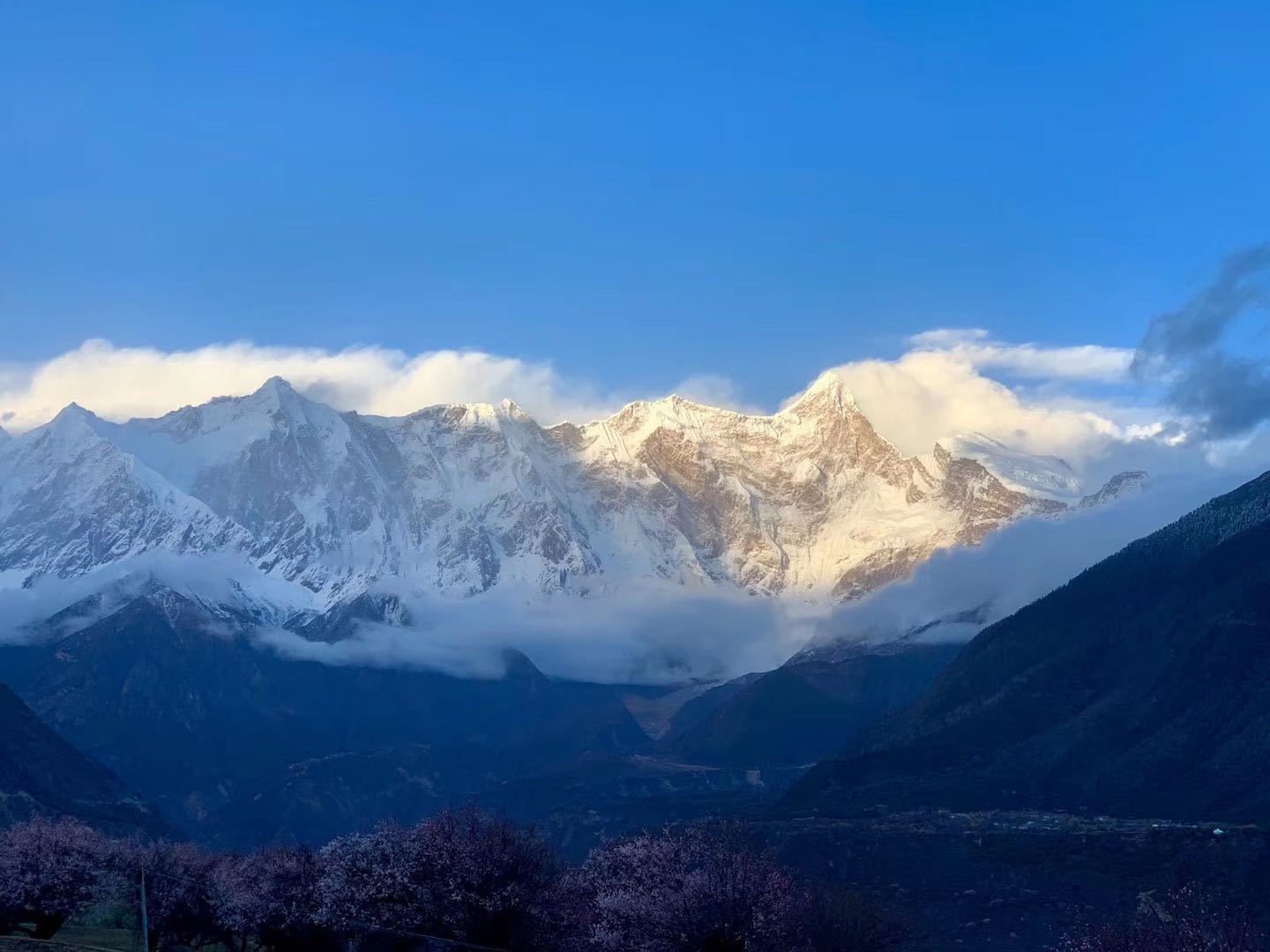 拉萨到成都普拉多托运费用,拉萨租车普拉多配司机一天多少钱
