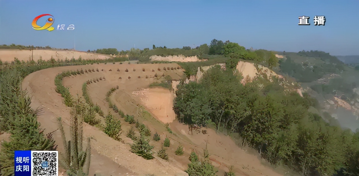 庆阳新闻2018年4月1号,你好2023新闻视频