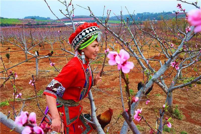 瞧！这花花世界谁不爱