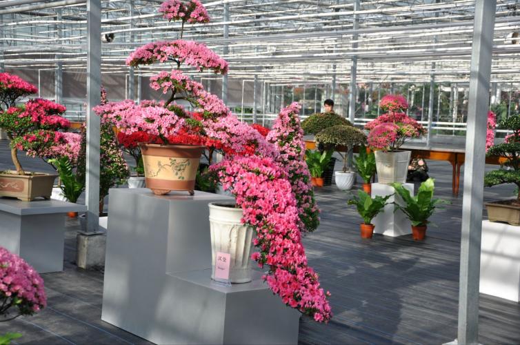 上海周边休闲自驾游攻略路线推荐,上海周边旅游自驾游攻略路线大全