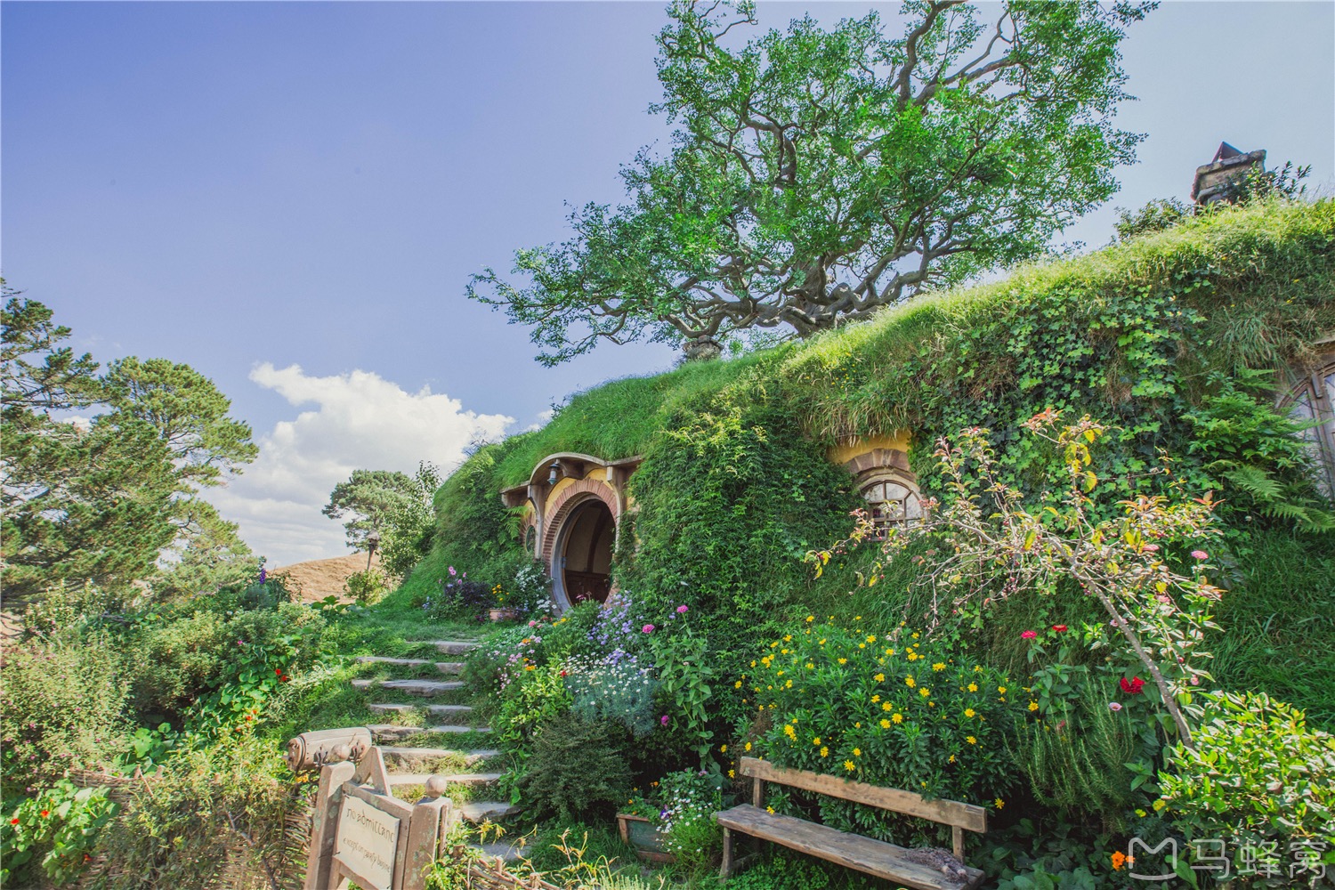 探寻电影中的经典取景地,电影中的绝美取景地