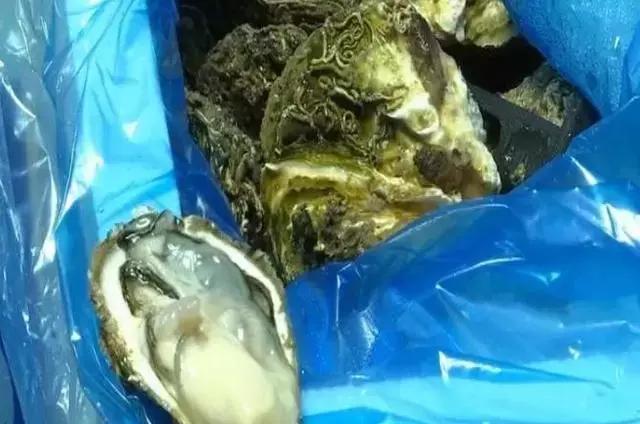 今年生蚝,今年生蚝便宜