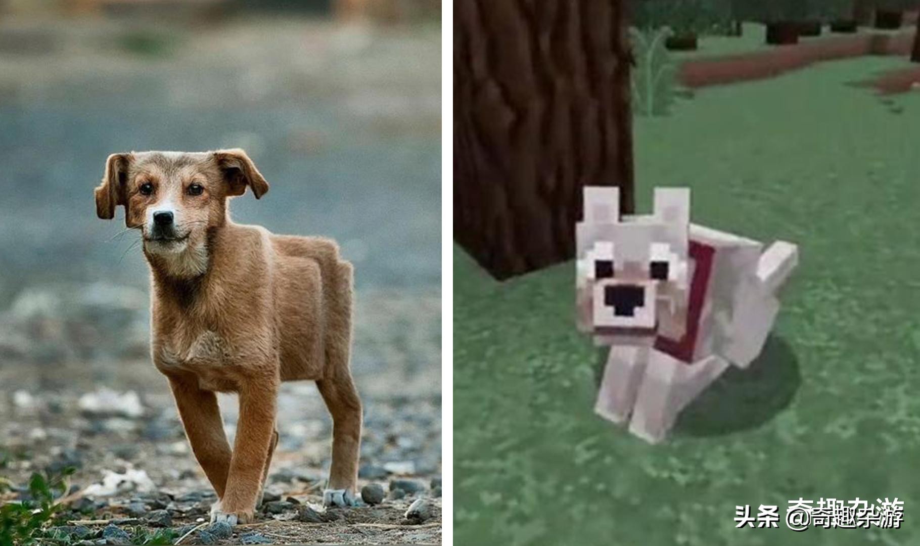 我的世界只有mc老玩家才懂的图,我的世界那些让mc玩家崩溃的瞬间