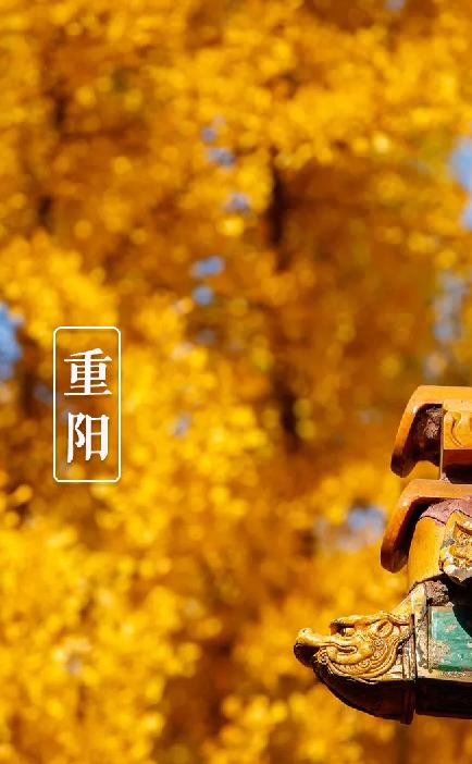 有关重阳节的诗句15篇,10首关于重阳节的诗词欣赏