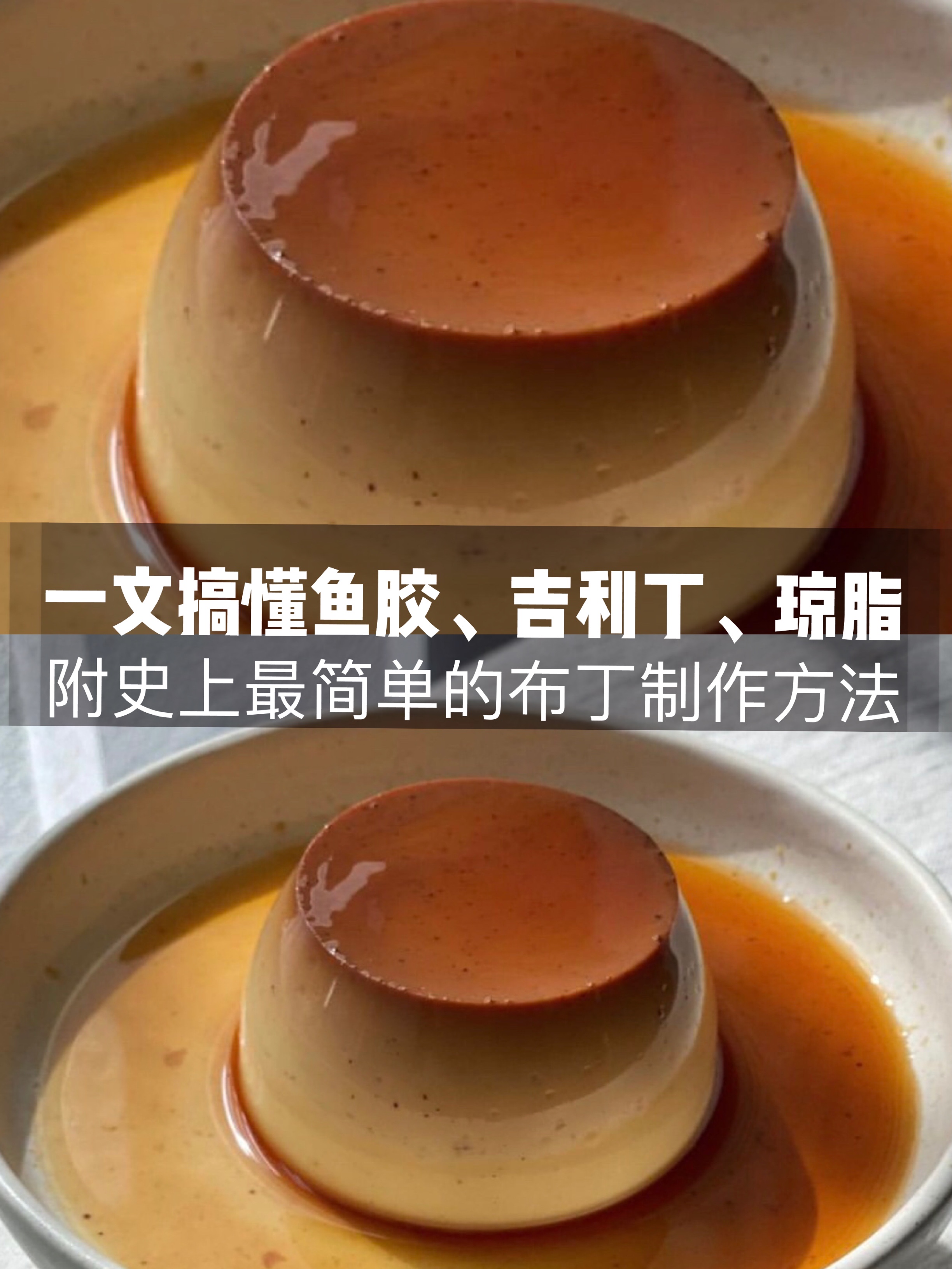 吉利丁鱼胶明胶的区别,吉利丁明胶鱼胶琼脂