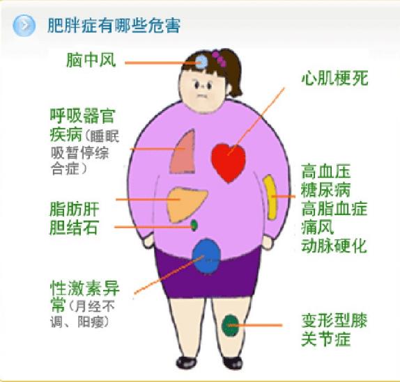 判断健康体重的指标bmi多少才正常,冷知识如何判断自己体重是否正常