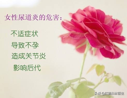 疫情下如何有效防治女性尿道炎？