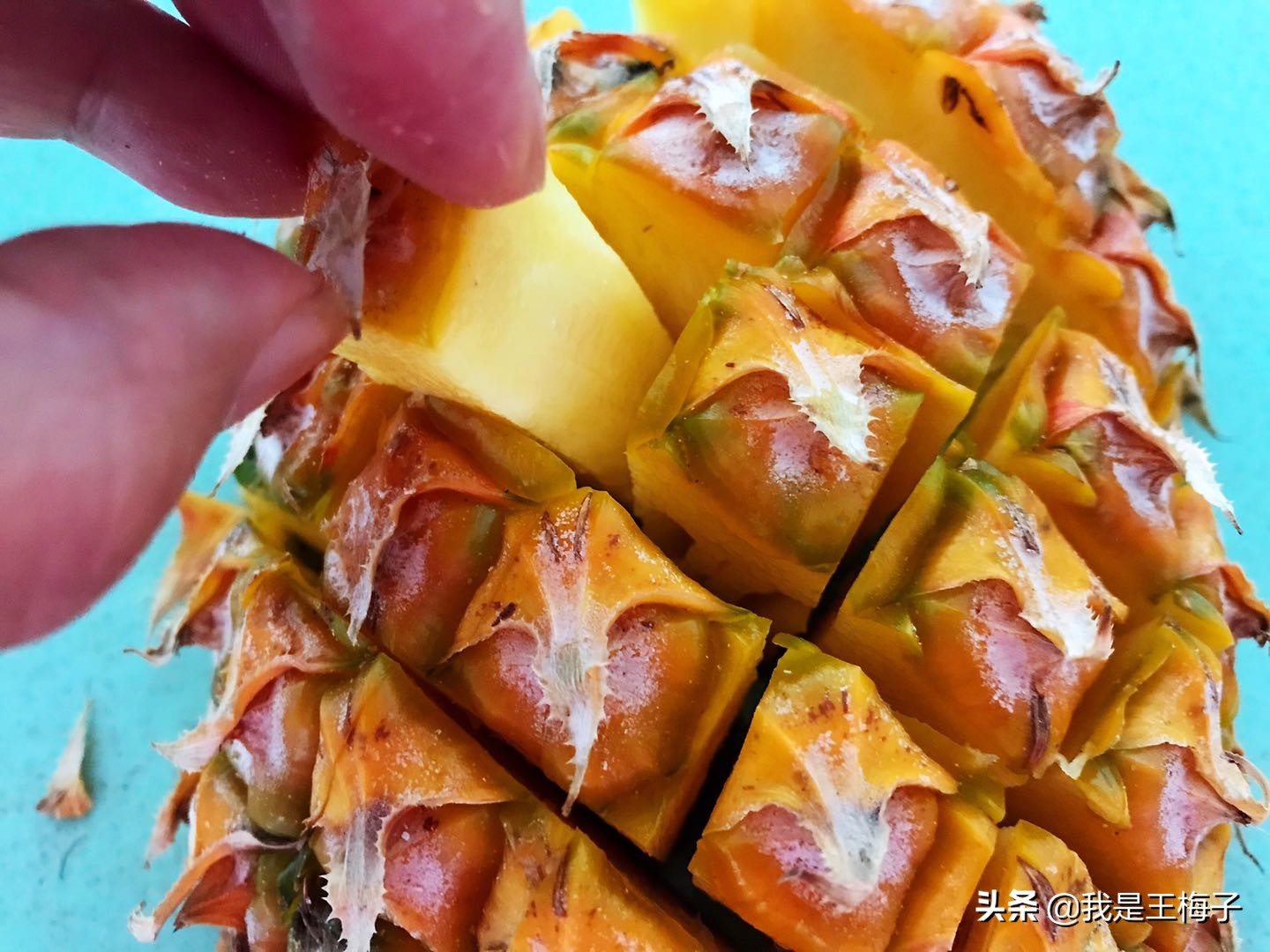 菠萝和凤梨的区别视频解析,菠萝和凤梨口感有什么区别啊