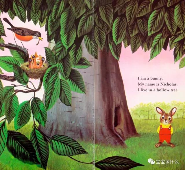 iamabunny作者,iamabunny歌曲