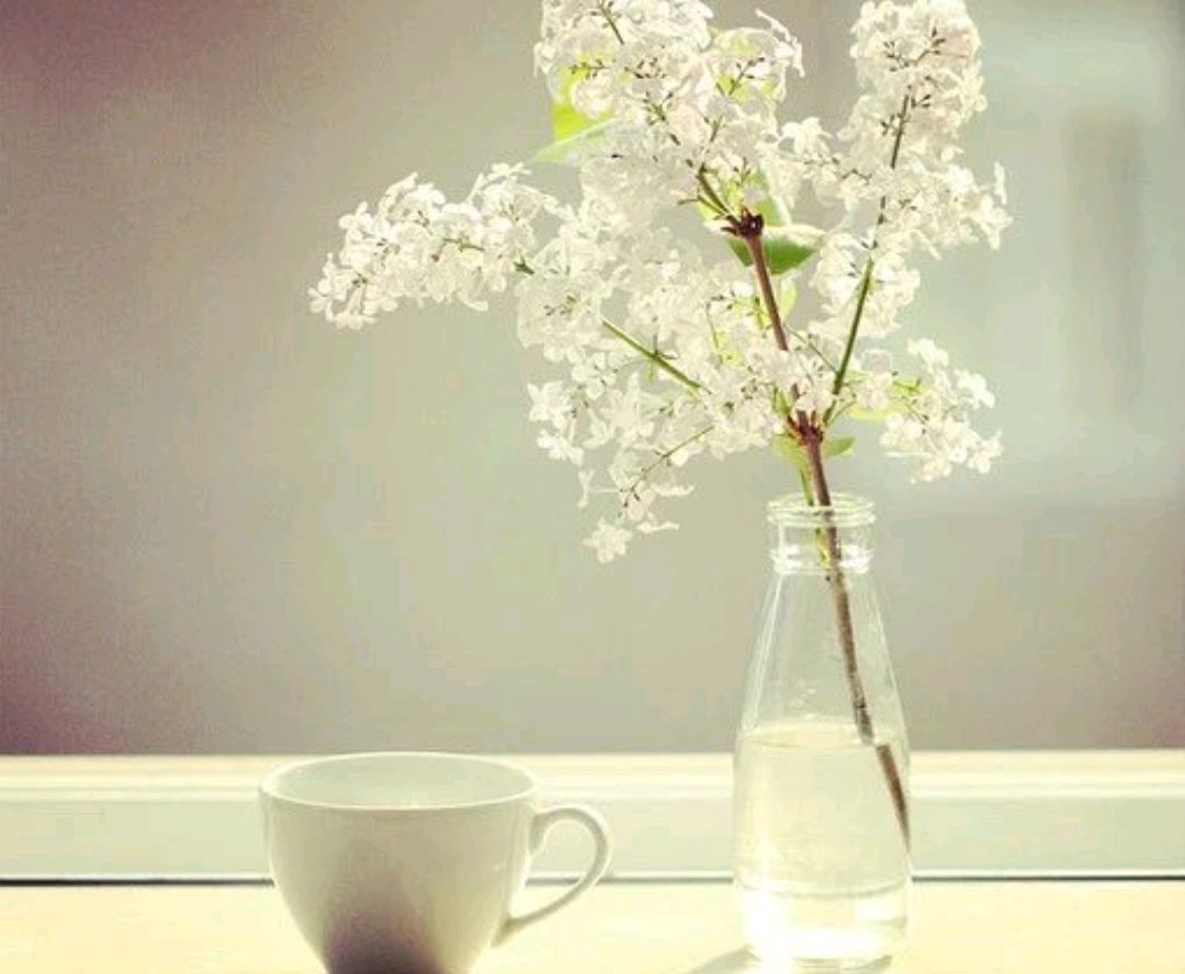 情商高的十大表现你了解几个,情商高的十大表现有哪些方面