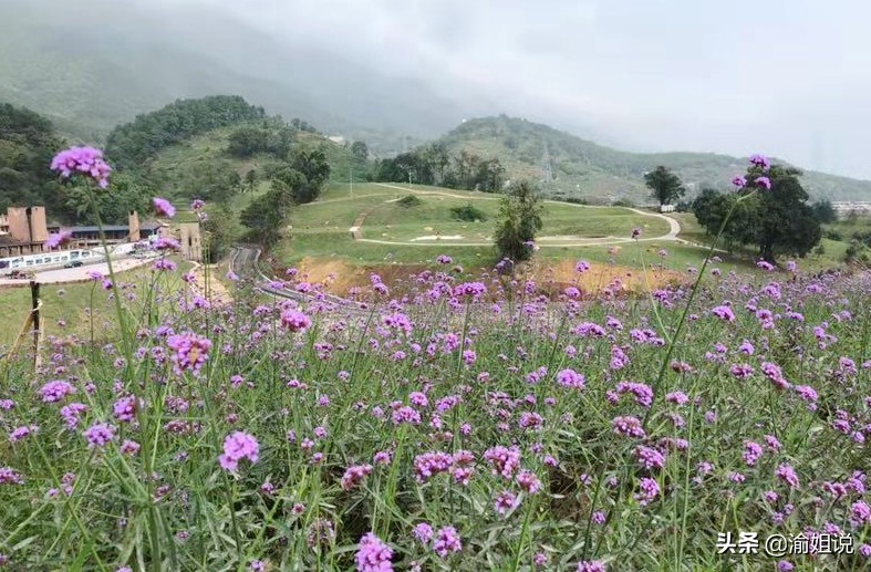 北碚世界自然公园要门票吗,北碚自然世界公园需要买门票么