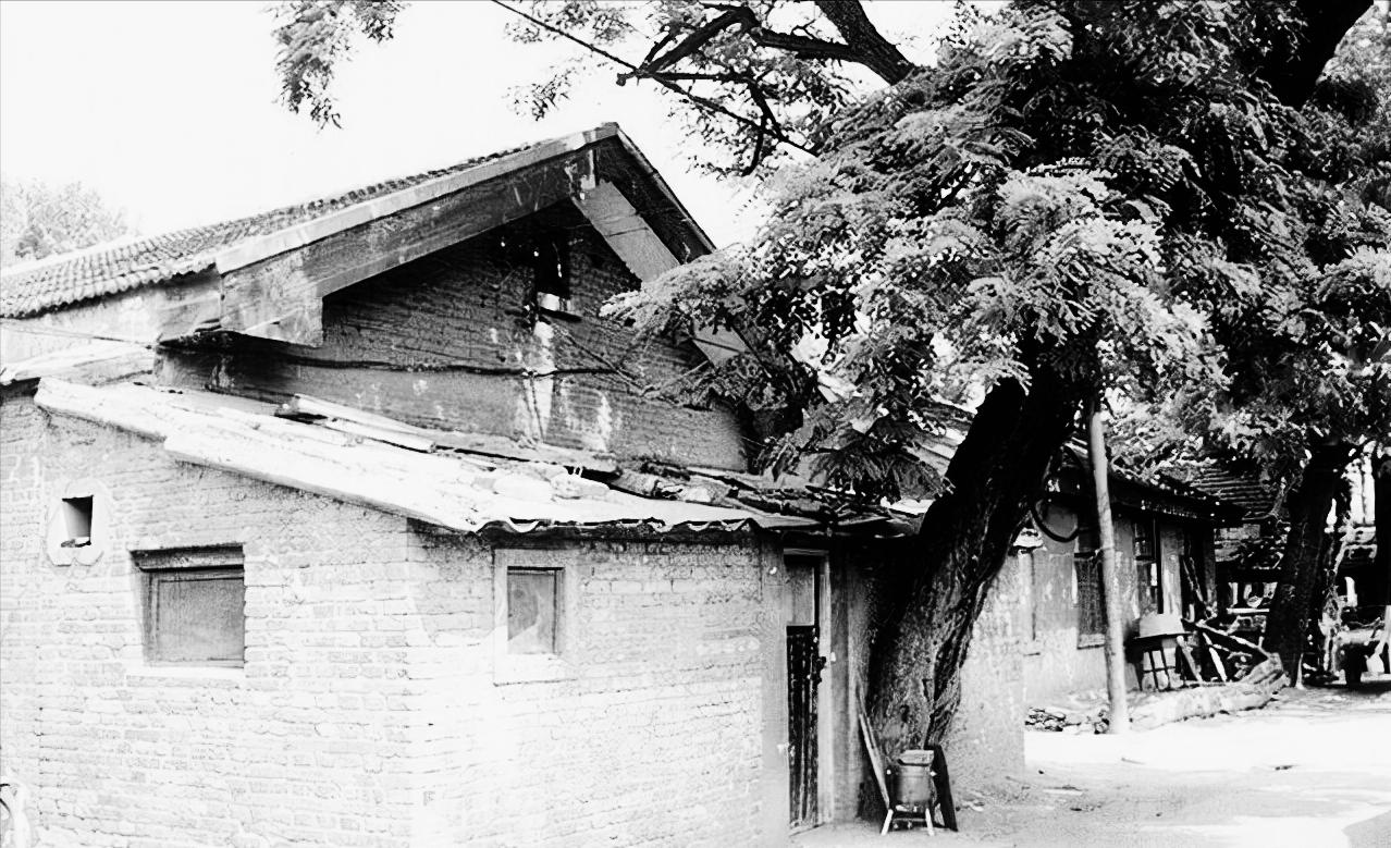 妻女被杀兔子牵出了真相,妻女被杀兔子成破案关键