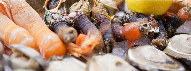 巴塞罗那的特点美食推荐,西班牙巴塞罗那凯旋门美食