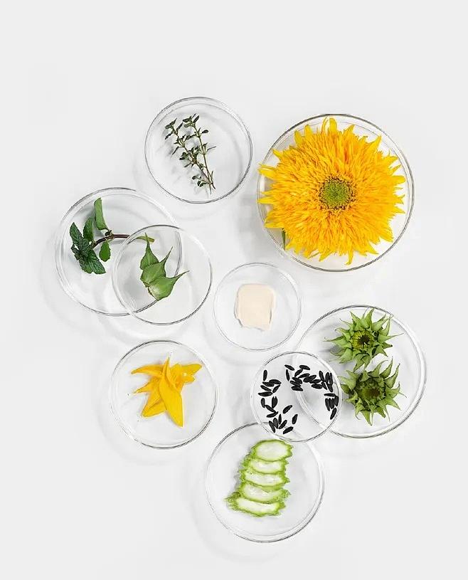 热门护肤品成分,护肤品好的成分一览表