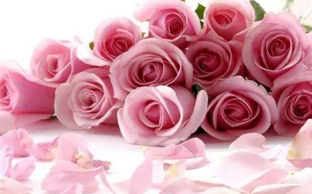 3个关于“玫瑰精油”的真相