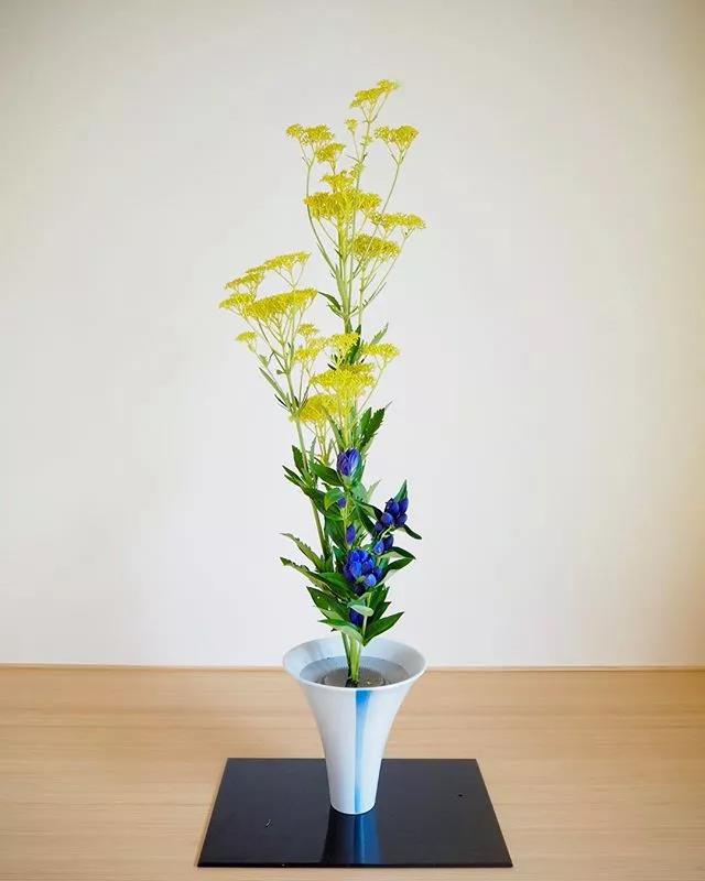 一花一世界一叶一菩提本来无一物,一花一世界一叶一菩提一场梦