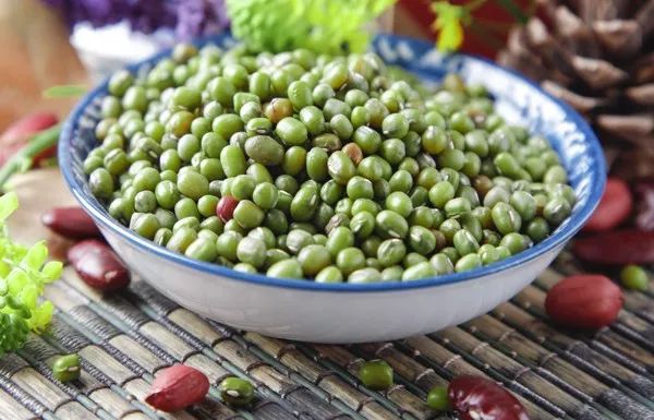 新元素轻食培训班,食品包装设计网站灵感