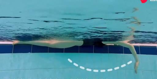 速泳25米自由泳速成,抬头式自由泳的速成方法