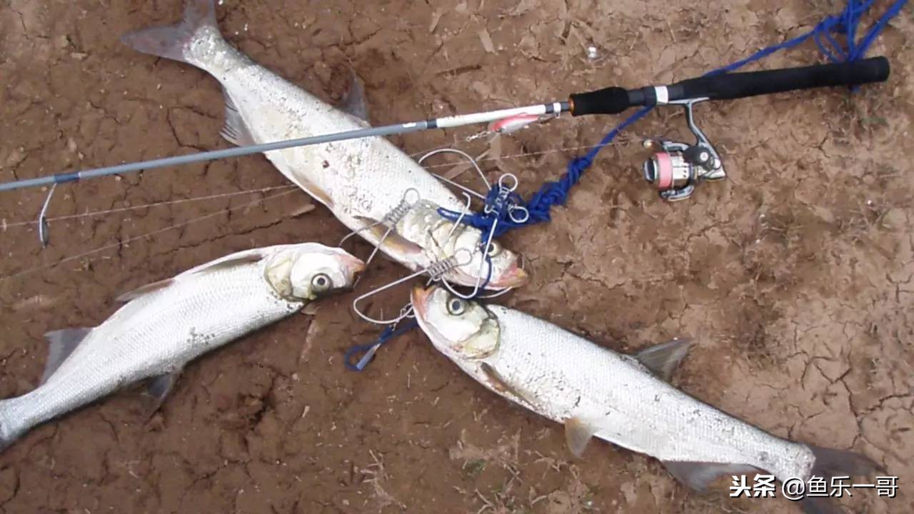 冬季铅头钩路亚翘嘴手法视频,冬季铅头钩路亚翘嘴如何确定水层