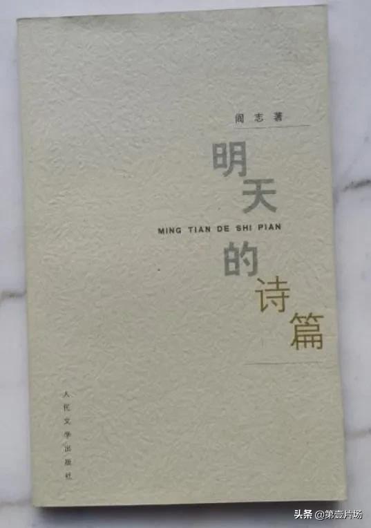 湖北首富前十名分别是哪里人,湖北首富阎志总捐了100亿