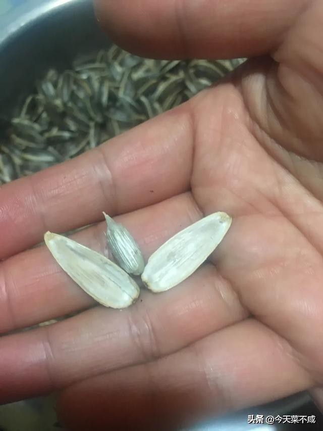 生瓜子怎么在电饼铛烤,电饼铛怎么炒瓜子才又脆又香