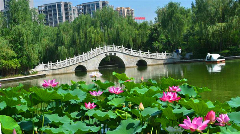 西安莲湖区20个旅游景点，3个是公园，其他17个历史底蕴丰厚