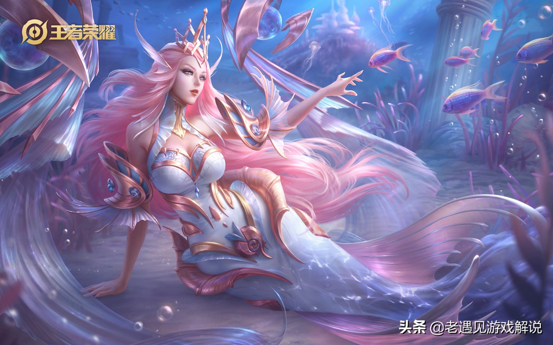 什么中路法师克制金蝉,中路法师克制