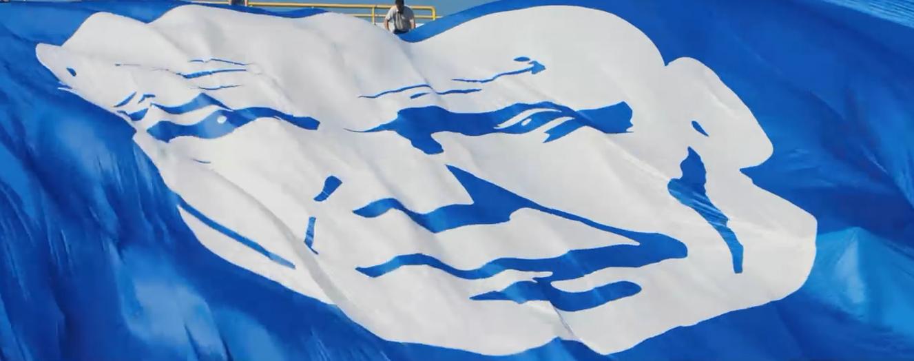 一共有多少种尤里,一共有几个尤里